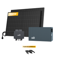TSUN DCU2000Lite Solarspeicher für Balkonkraftwerke, mit 2 x 450W Bifaziale Solarmodule & 800W Mikro‑Wechselrichter. by Powerness